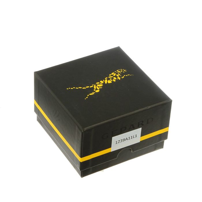 Наручные часы мужские Gepard 1239A11L1