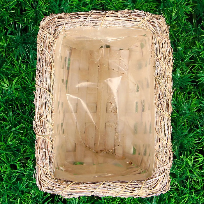 Кашпо «Линии», 17 × 13 × 10 см