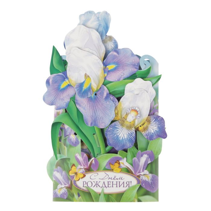 Открытка трёхмерная "С Днем Рождения" ирисы