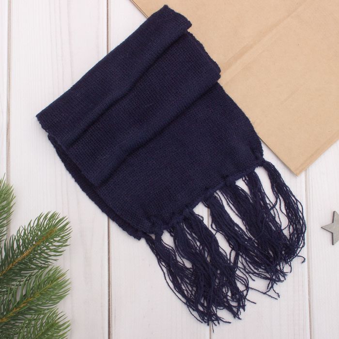 Комплект утеплённый для мальчика (шапка, шарф), р-р 48, цв. тёмно-синий