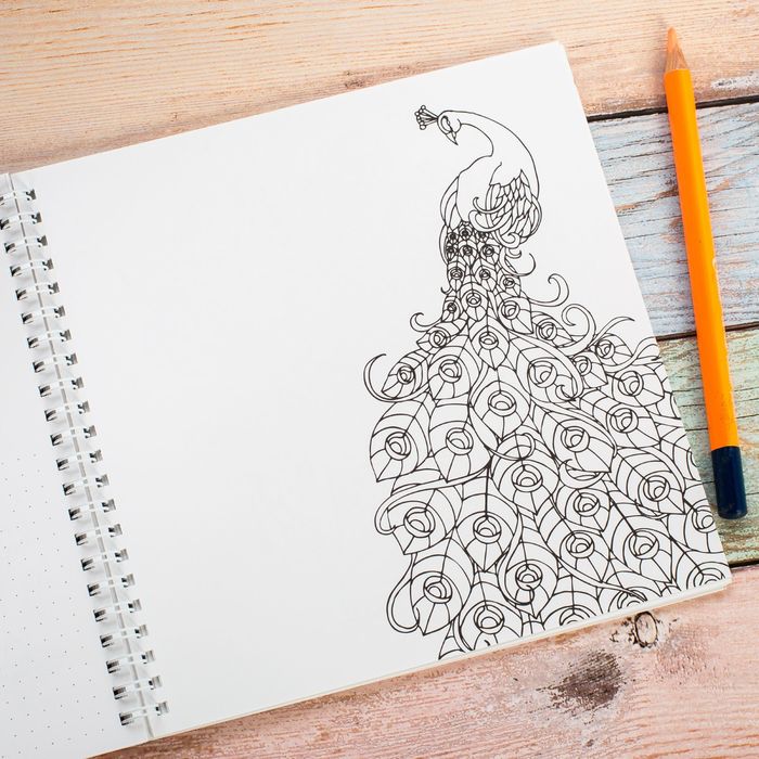 Смешбук на гребне "Мои 365 дней", твёрдая обложка, 20 х 20 см, 40 листов