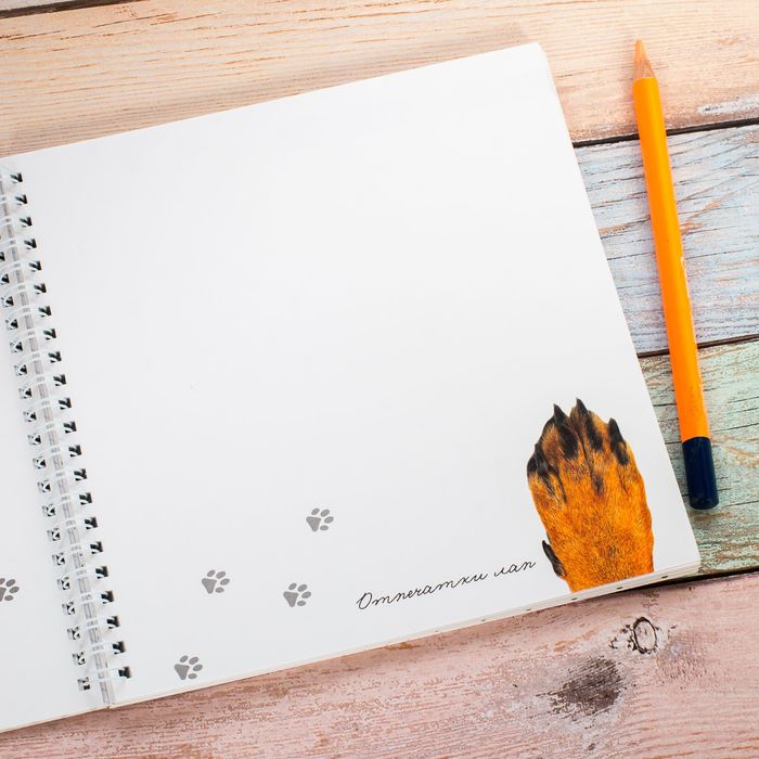 Смешбук на гребне "Мой пушистый друг", твёрдая обложка, 20 х 20 см, 40 листов