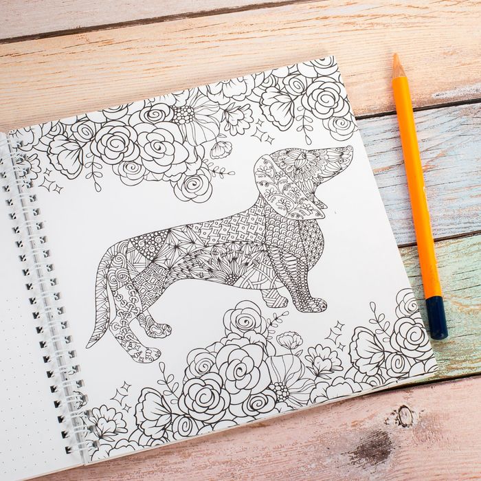 Смешбук на гребне "Мой пушистый друг", твёрдая обложка, 20 х 20 см, 40 листов