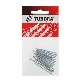 Гвоздь строительный TUNDRA krep, 2х40 мм, без покрытия, в упаковке 20 шт. Бишкек Гвоздь строительный TUNDRA krep, 2х40 мм, без покрытия, в упаковке 20 шт. Ош