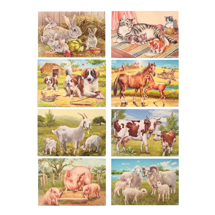 Демонстрационные картины "Домашние животные" 8 плакатов, А3+