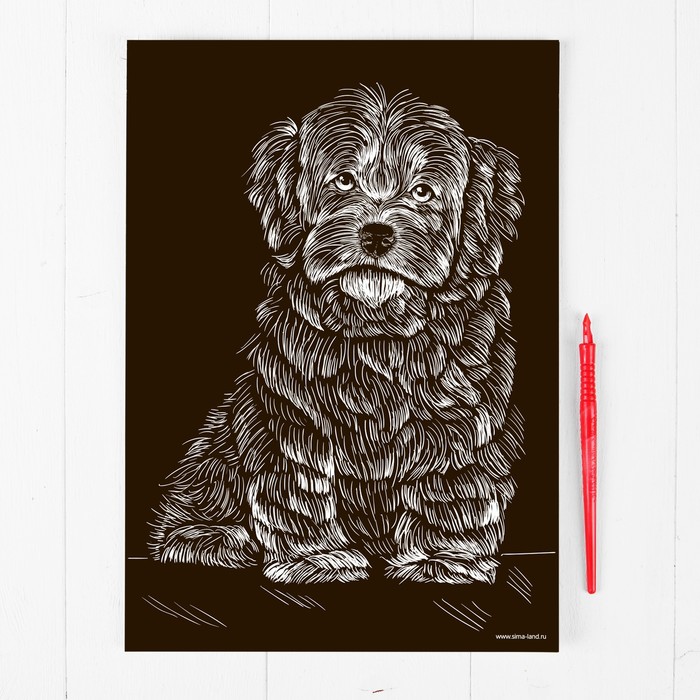 Гравюра "Болонка" с металлическим эффектом А4 - золото + штихель