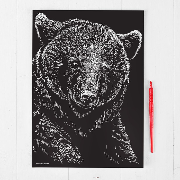 Гравюра "Медведь", металлический эффект "золото", 21 х 30 см