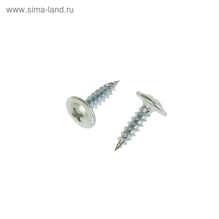 

Саморез с прессшайбой ТУНДРА krep, острый, 4.2х16 мм, цинк, 15 кг