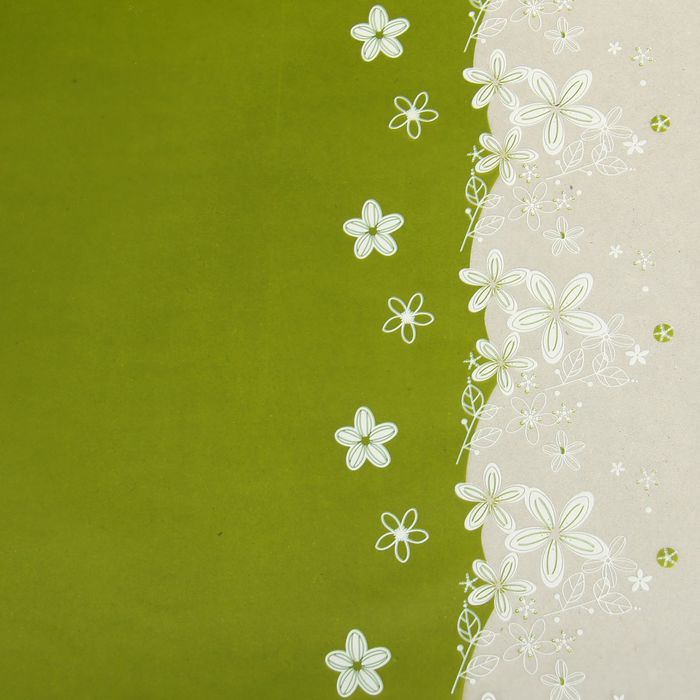 Пленка для цветов, зеленый, 60 х 60 см