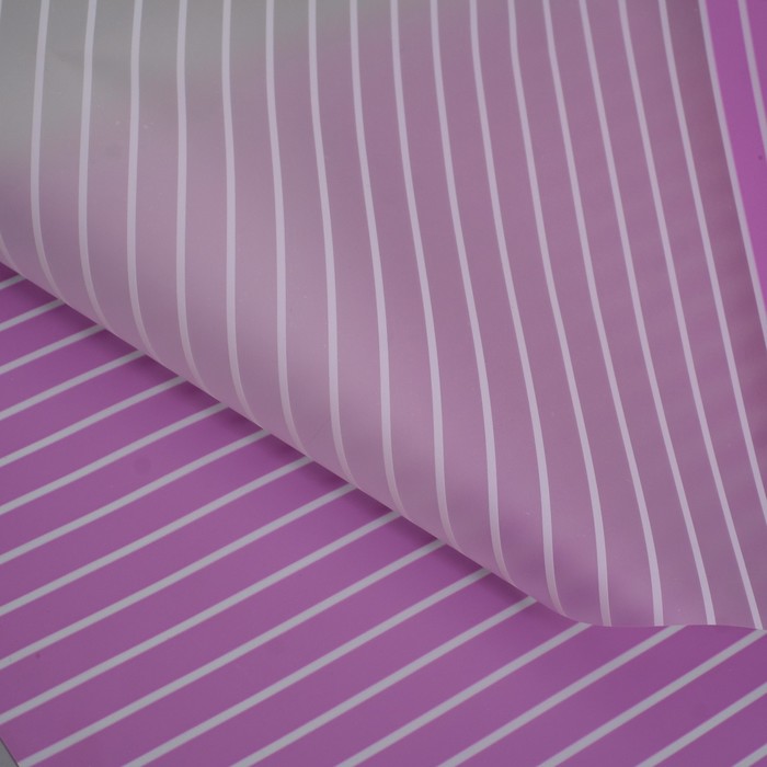 Пленка для цветов 60 х 60 см