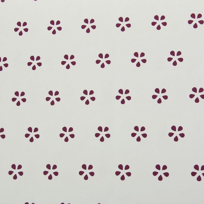 Пленка для цветов, 60 х 60 см