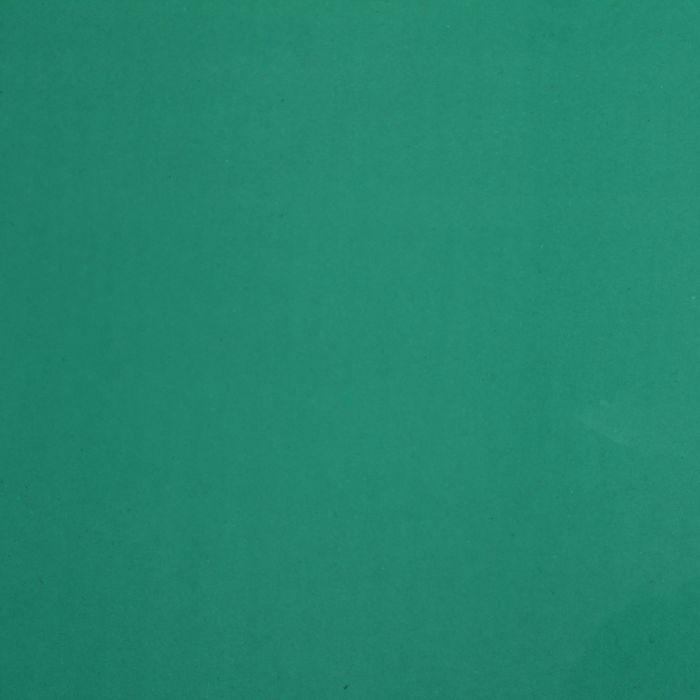 Плёнка для цветов и подарков, зелёный, 60 х 60 см