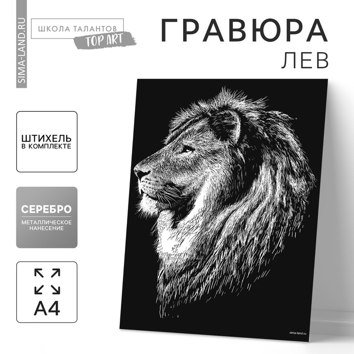 Гравюра «Лев» с металлическим эффектом «серебро» А4 гравюра лев