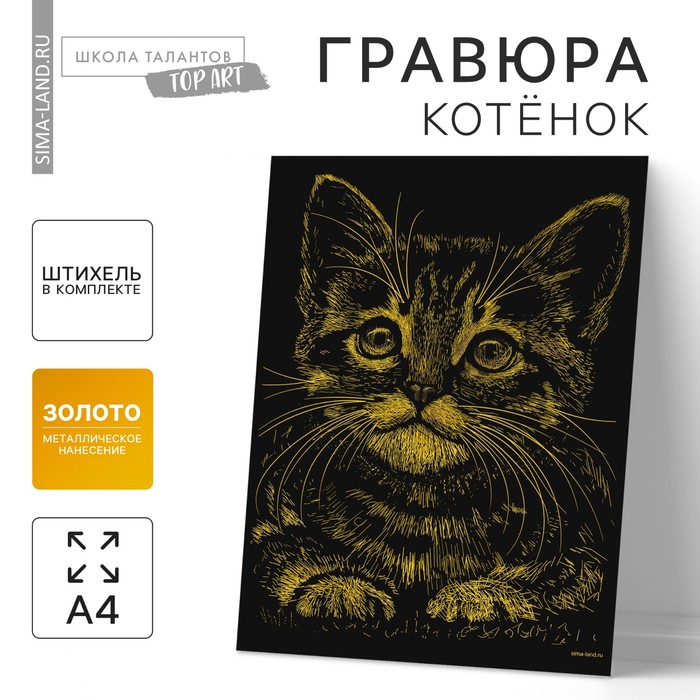 Гравюра "Котёнок", металлический эффект "золото", 15 х 21 см