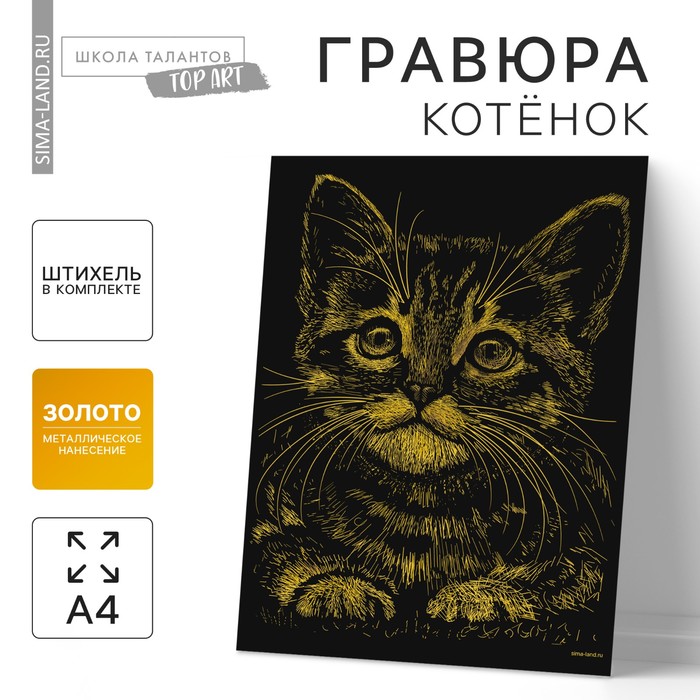Гравюра «Котёнок» с металлическим эффектом «золото» А4 гравюра с металлическим эффектом золото собаки акита ину