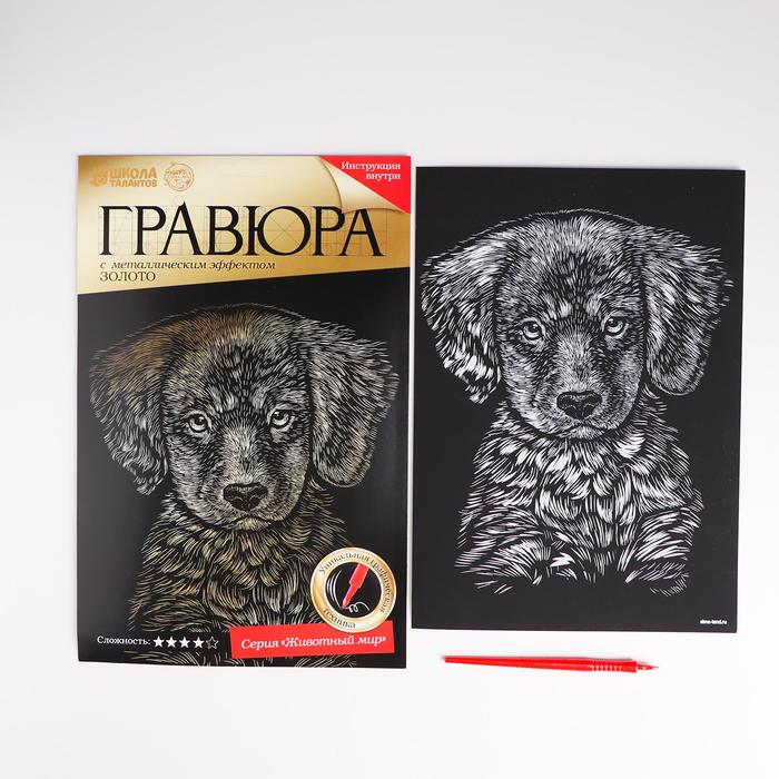 Гравюра "Лабрадор" с металлическим эффектом А4 - золото + штихель