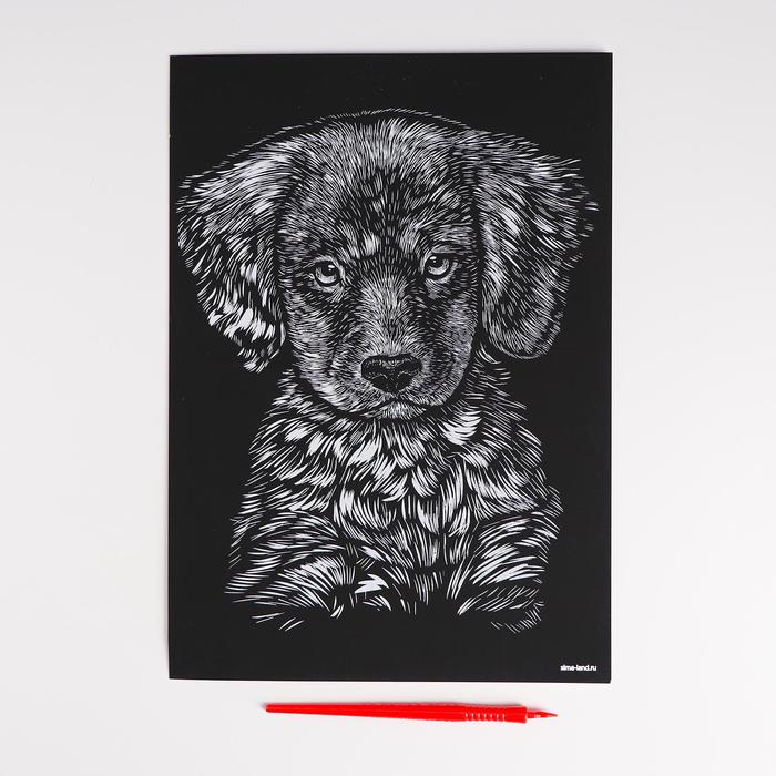 Гравюра "Лабрадор" с металлическим эффектом А4 - золото + штихель