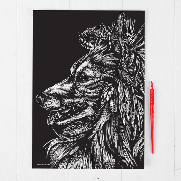 Гравюра "Колли", металлический эффект "серебро", 21 х 30 см