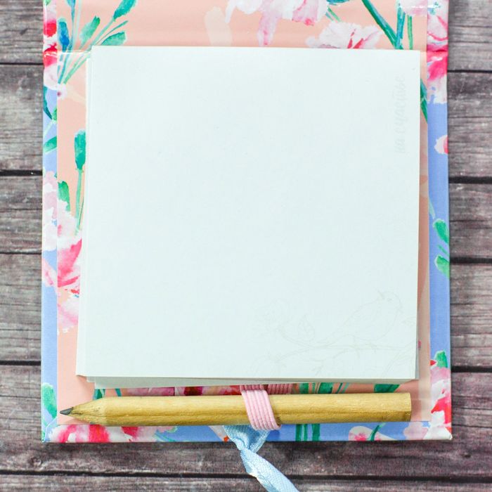 Футляр для бумаги с карандашом "Сегодня особенный день", 100 листов