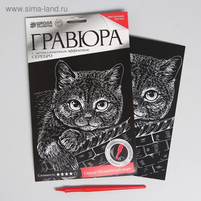 

Гравюра «Котёнок» с металлическим эффектом «серебро» А5