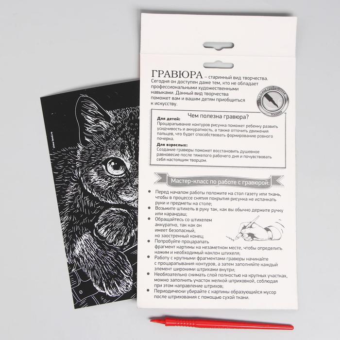 Гравюра "Котёнок", металлический эффект "серебро", 15 х 21 см