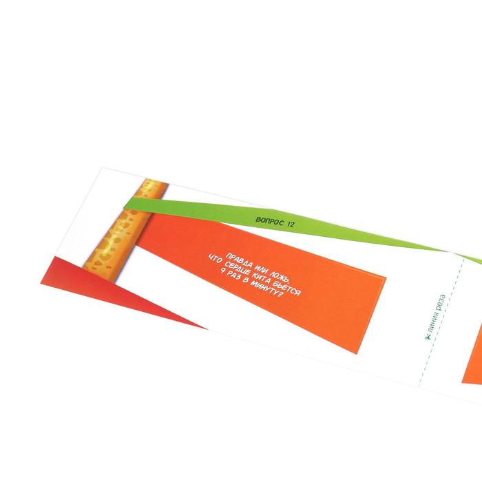 Игра летняя купоны в дорогу «Правда или ложь»