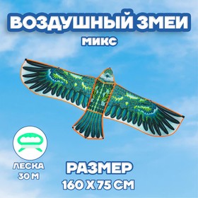 Воздушный змей «Орёл в полете», с леской, цвета МИКС