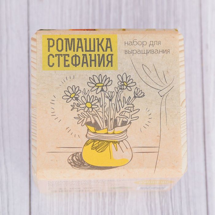 Растущая травка "Экокуб "Ромашка Стефания"