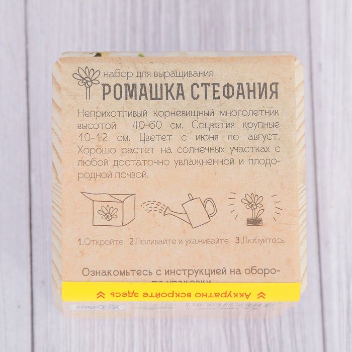 Растущая травка "Экокуб "Ромашка Стефания"