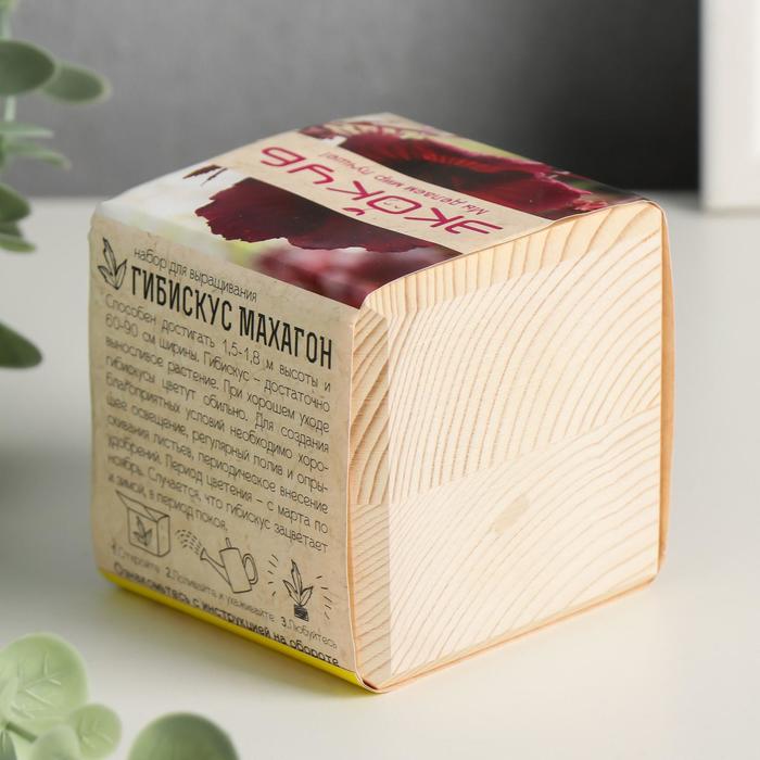 Растущая травка "Экокуб "Гибискус"