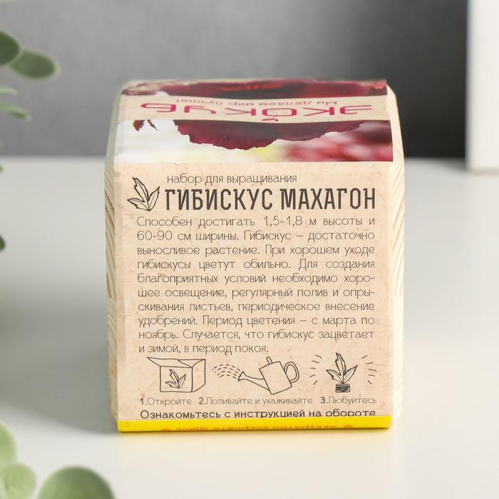 Растущая травка "Экокуб "Гибискус"