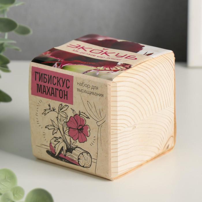 Растущая травка "Экокуб "Гибискус"