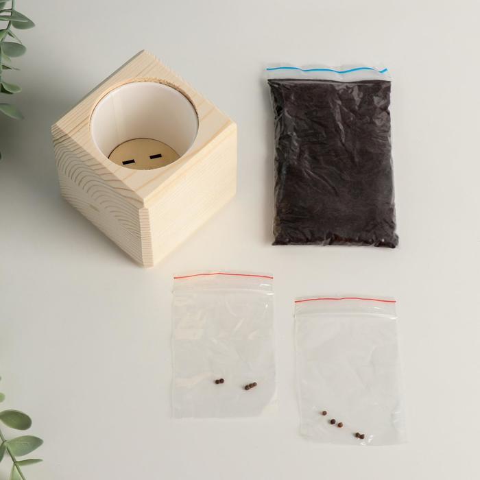 Растущая травка "Экокуб "Гибискус"