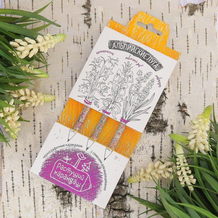 Растущие карандаши "Альпийские луга" набор 3 шт. черные