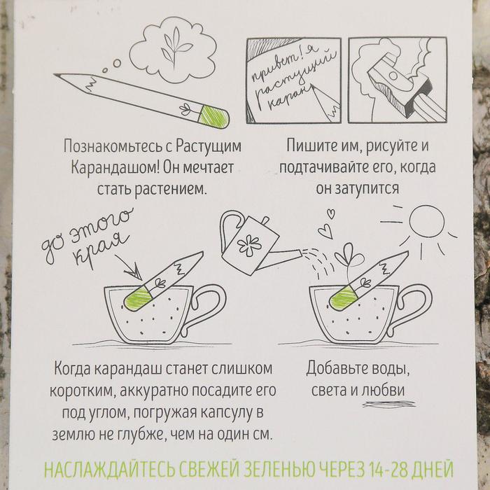 Растущие карандаши "Итальянские травы" набор 3 шт. черные