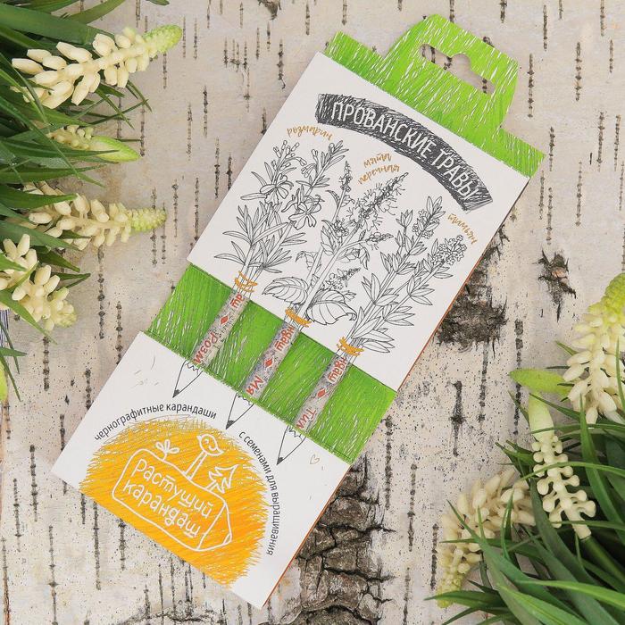 Растущие карандаши "Прованские травы" набор 3 шт. черные