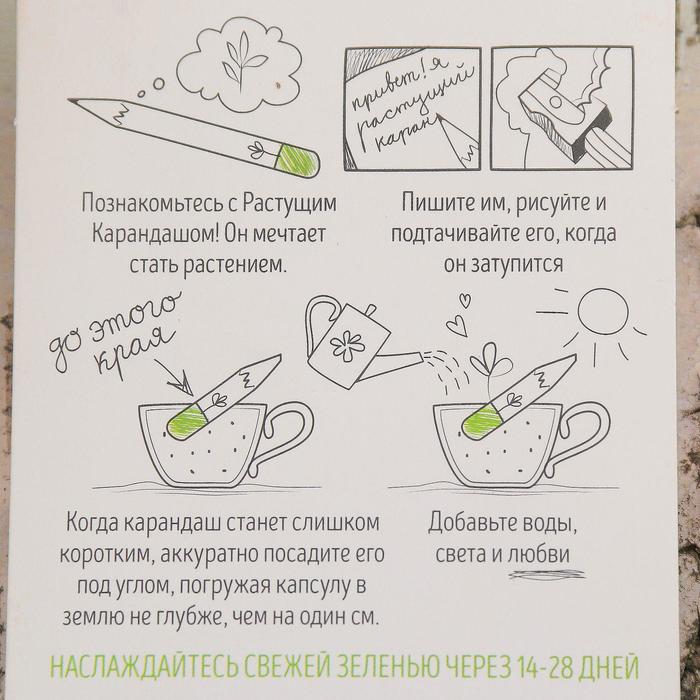 Растущие карандаши "Чайный набор" набор 3 шт. черные