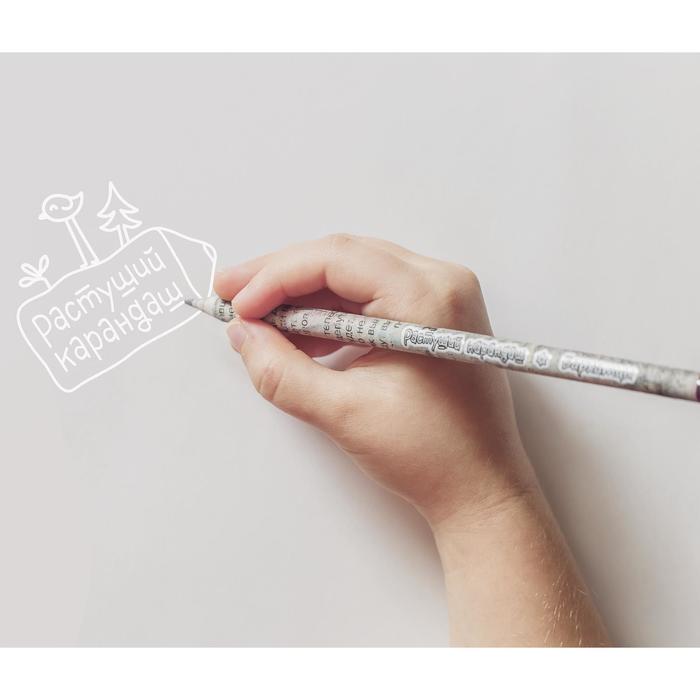 Растущие карандаши "Чайный набор" набор 3 шт. черные