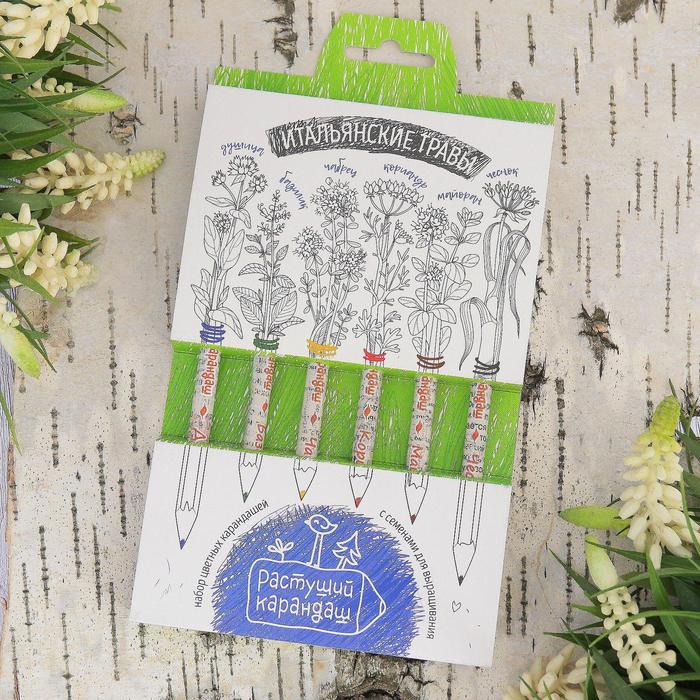 Растущие карандаши "Итальянские травы", набор 6 шт., цветные