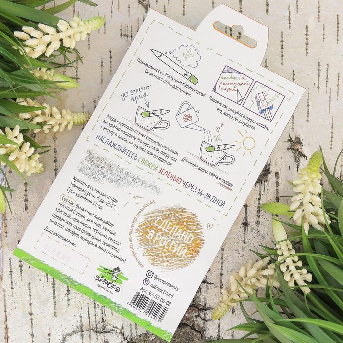 Растущие карандаши "Прованские травы" набор 6 шт. цветные