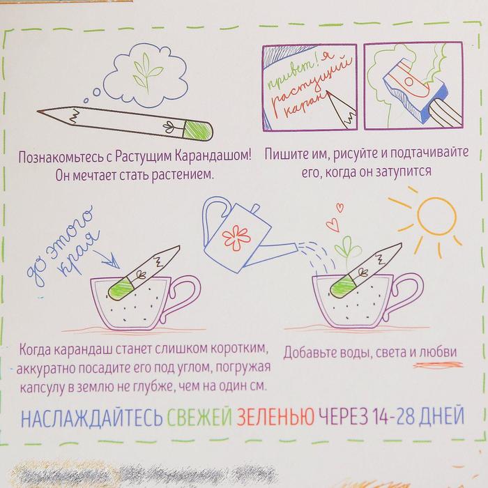 Растущие карандаши "Прованские травы" набор 6 шт. цветные