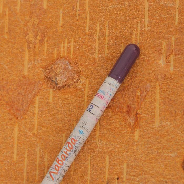 Растущие карандаши "Прованские травы" набор 6 шт. цветные