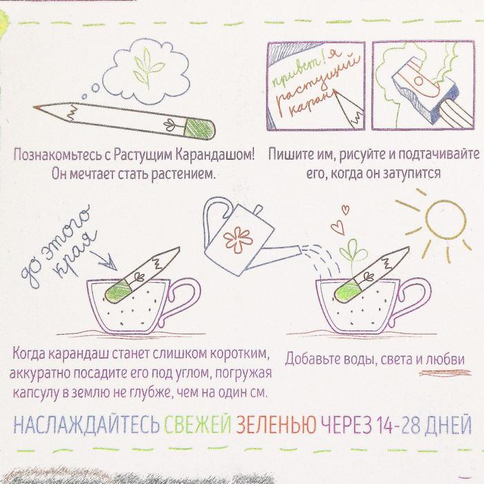 Растущие карандаши "Салатный микс" набор 6 шт. цветные