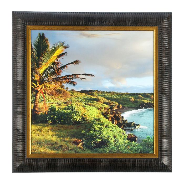 Аптечка "Пальмы" 38х38х7 см