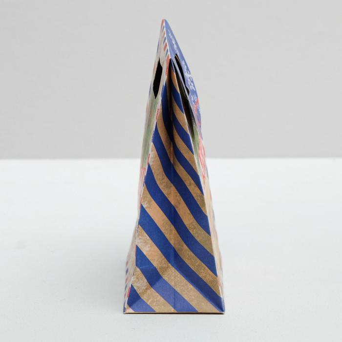 Пакет подарочный «Посылка от Деда Мороза», 12 × 16 × 6 см