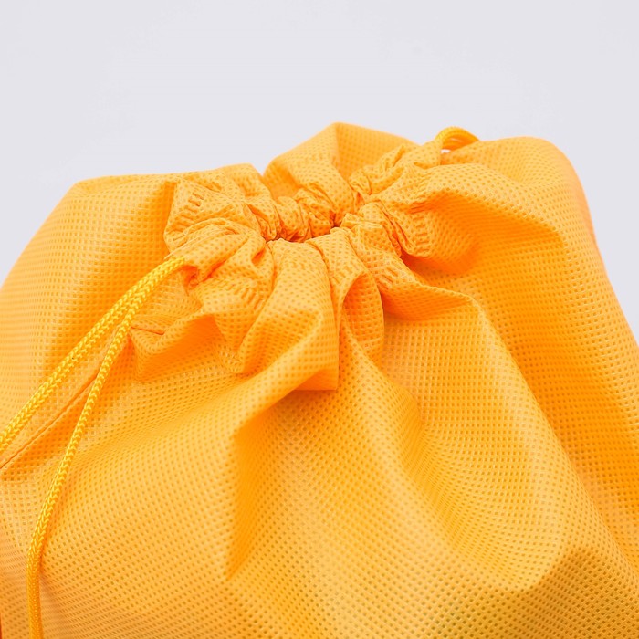 Мешок для обуви "Счастье всегда со мной", 26 х 37,5 см