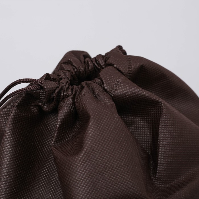 Мешок для обуви "Самый смелый", 26 х 37,5 см