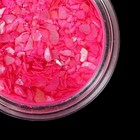 Ракушка для декора, цвет малиновый