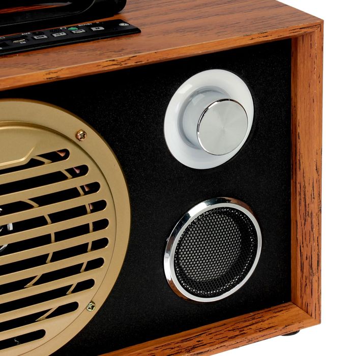 Радиоприемник "БЗРП РП-317", USB, SD, стереозвук, 220V, акб 900мА/ч