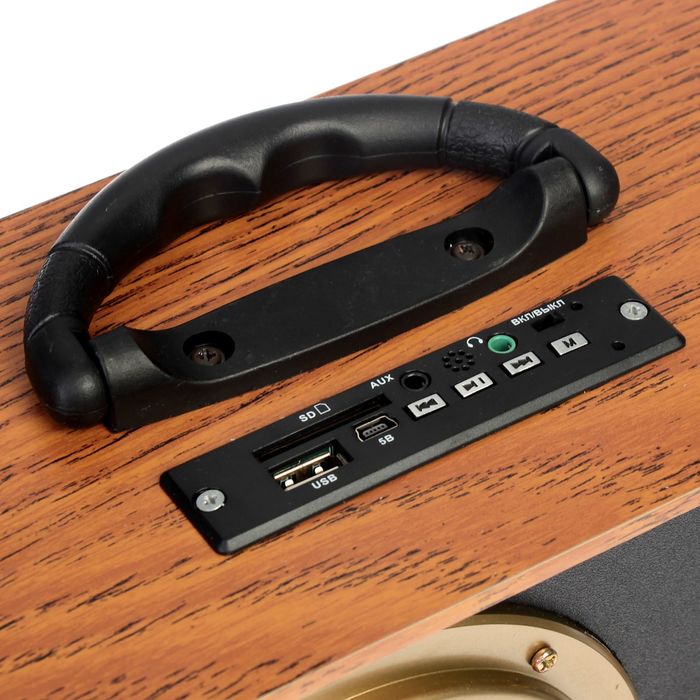 Радиоприемник "БЗРП РП-317", USB, SD, стереозвук, 220V, акб 900мА/ч